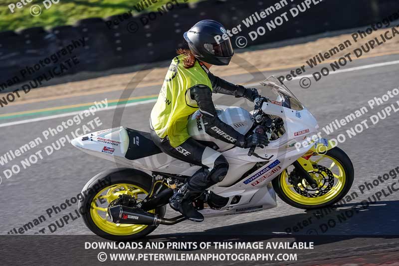 brands hatch photographs;brands no limits trackday;cadwell trackday photographs;enduro digital images;event digital images;eventdigitalimages;no limits trackdays;peter wileman photography;racing digital images;trackday digital images;trackday photos